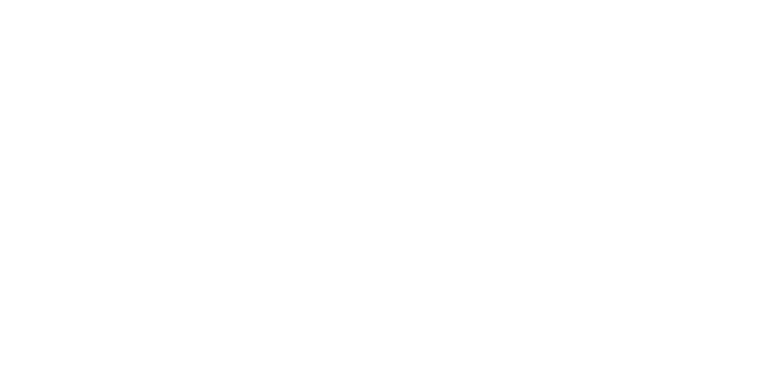 Zsolic Logo